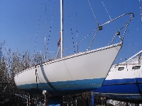 Chioggia Venezia Laguna Barca Vela