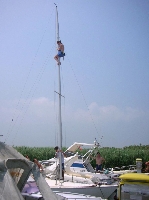 Chioggia Venezia Laguna Barca Vela