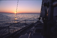 Chioggia - Rovigno (Rovinj)