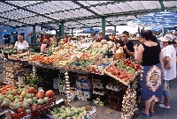 Chioggia - Rovigno (Rovinj)