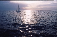 Chioggia - Rovigno (Rovinj)