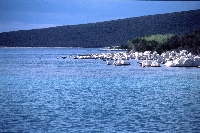 Lussinpiccolo (Mali Losinj) - Asinello (Ilovik)