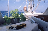 Premuda - Sànsego (Susak) - Pola (Pula)