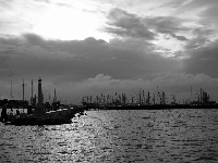 Brioni (Brijuni) - Rovigno (Rovinj) - Chioggia