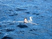 Isola d'Elba