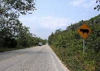 Carretera Campeche - Palenque