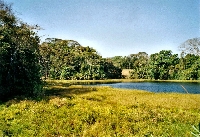 Parque National Sobreranìa