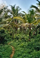 La Selva