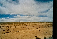 Carretera Arica-La Paz