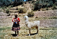 Cuzco - Tambomachay