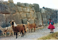 Cuzco - Sacsaihuaman