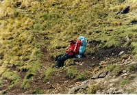 Camino Inca - Portador