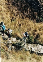 Camino Inca