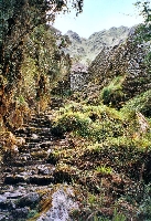 Camino Inca