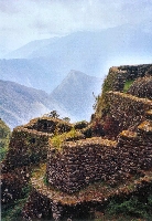 Camino Inca - Phuyupatamarca