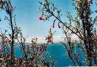 Lago Titicaca - Isla Taquile