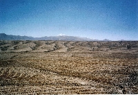 Bus Puno - Arequipa