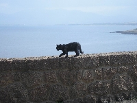 Castelsardo