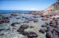 Castelsardo