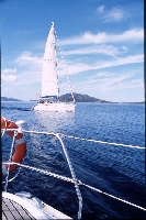 Isola dell'Asinara