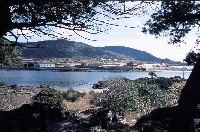 Isola dell'Asinara